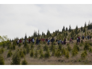Yahşihan 2 Bin 500 Fidana Daha Kavuştu