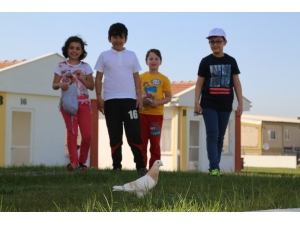 Çocuklar Odunpazarı’nda Hayvan Dostlarıyla Buluştu