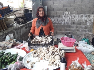 Tkdk’dan Aldığı Destekle Ürettiği Mantarları Pazarda Satıyor