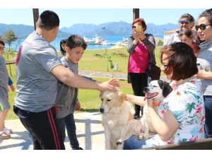 Özel Çocuklar Barınakta Can Dostlarıyla Buluştu