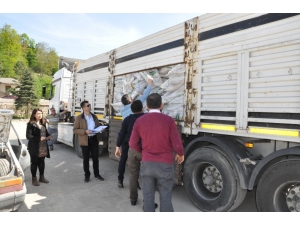 Ordu’da Organik Tarımda Sevindirici Gelişme