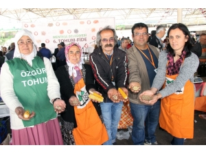 Menteşe’de ‘Yerel Tohum-fide’ Şenliği