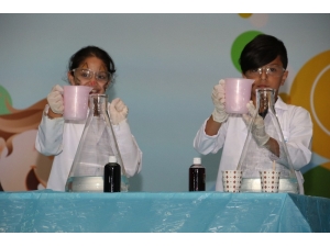 Bilim Ve Şov Festivalde Bir Arada