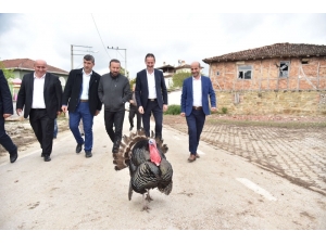 Başkan Doğan: “24 Haziran’daki Seçim Dur Demek İçin Atılan Bir Adımdır”