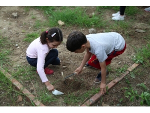 Antandros’un Küçük Arkeologları İş Başında