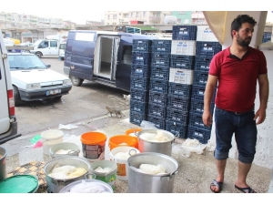 Günde 100 Ton Peynir Üretilen Siverek’te Patentli Üretici Yok