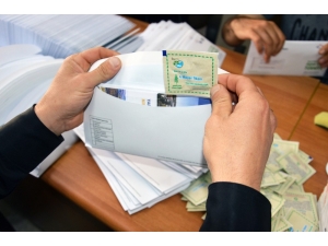 Kırıkkale’de 85 Bin Haneye Karaçam Tohumu