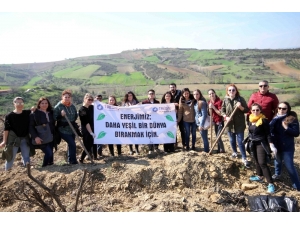 Tredaş Çalışanları 250 Fidan Dikti