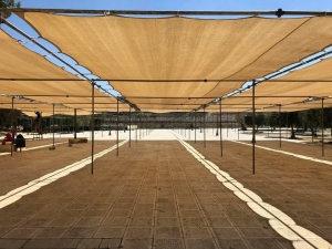 Mescidi Aksa’da Ramazan Ayı İçin Hazırlıklar Başladı