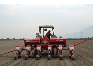 Beyaz Altın Toprakla Buluştu Üretici Destek İstedi