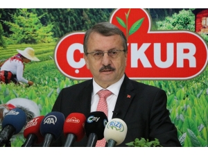 Çaykur Genel Müdürü Sütlüoğlu Çay Sezonunu Açtı