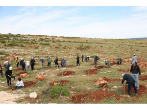 En İyi Zeytinyağı Üreticileri Ödüllendirildi