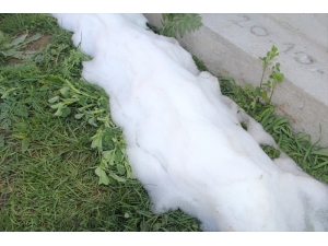 Nisanda Kar Yağışı Meyve Ağaçları Ve Bahçelere Zarar Verdi