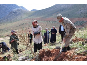 Fidanları, Şehitlerin Künyeleri İle Birlikte Toprakla Buluşturdular