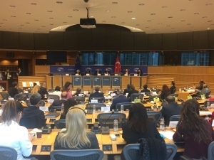 Karayel, Türkiye-avrupa Birliği Karma Parlamento Komisyonu’nun 77. Toplantısında Konuştu