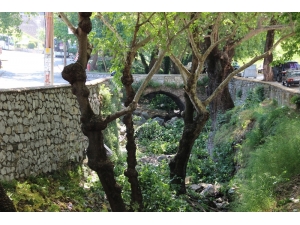 Anıtlar Kurulundan İzin Çıktı, Asırlık Çınarlar Bakıma Alındı