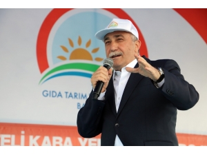 Bakan Fakıbaba: “Şanlıurfa Türkiye’nin Kaba Yem İhtiyacının Yüzde 40’ını Karşılayacak”