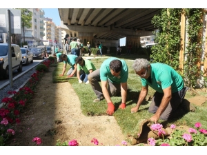 Kuşadası Çevre Yolunda Peyzaj Çalışmaları Sürüyor