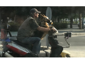 Trafikte Eğlenceli Yolculuk