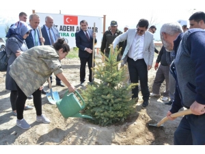 Şehit Adem Akpınar’ın İsmi Hatıra Ormanında Yaşatılacak