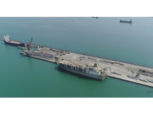 Brezilyalı İneklerin Kokusu Şehri Sardı