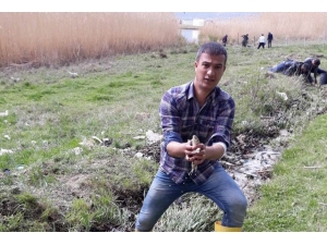 İnci Kefalini Kurtarmak İçin İnanılmaz Mücadele