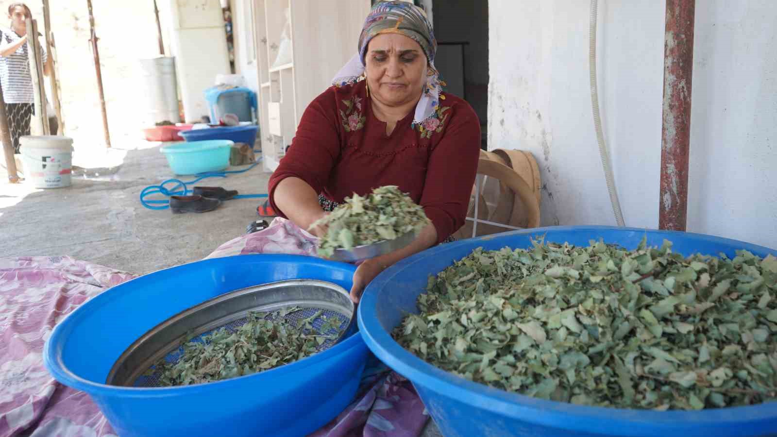 nesillerin-ikinci-kez-taniklik-ettigi-kudret-helvasi-bollugu-yore-halkini-sevince-bogdu-bu-allah-in-nimeti-mezopotamya-nin-essiz-hazinesi