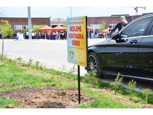 Sdü’den Sokak Hayvanları İçin Sosyal Sorumluluk Projesi