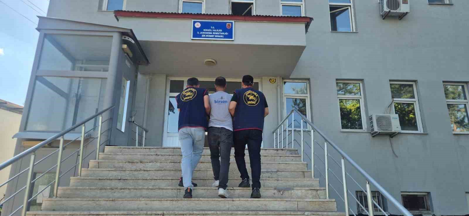 bingol-de-5-bin-176-kok-kenevir-ele-gecirildi