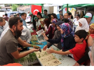 Yakakayı’da Yerel Tohum Ve Fide Takas Şenliği