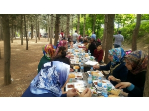 Hasta Ve Hasta Yakınlarına Moral Pikniği Düzenledi