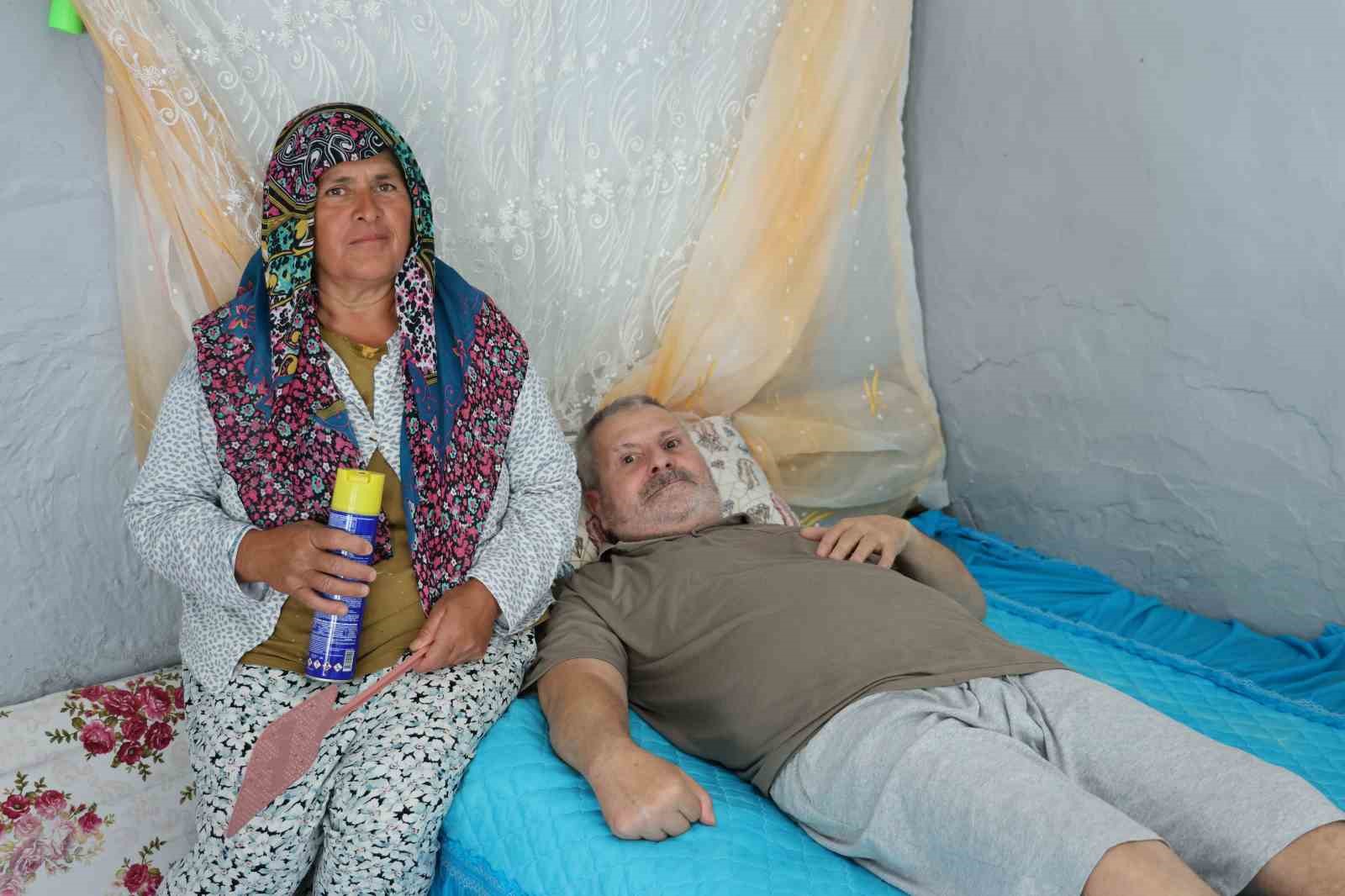 felcli-esinin-rahat-etmesi-icin-basinda-sinek-nobeti-tutuyor