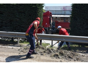 D- 100 Karayolunda Refüj Bakımı Yapılıyor