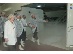 Vali Yazıcı: "Üretim Ve İstihdam Kapasitesi Sevindirici"