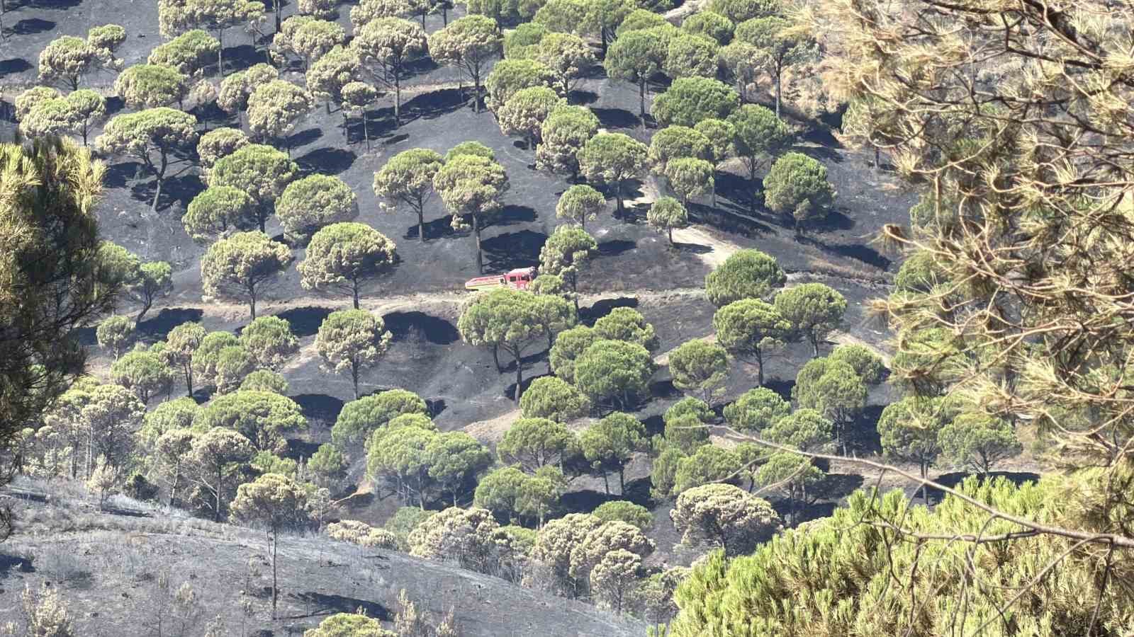 balikesir-yanginlarinda-sona-dogru