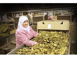 Ege İhracatında Bahar Bereketi