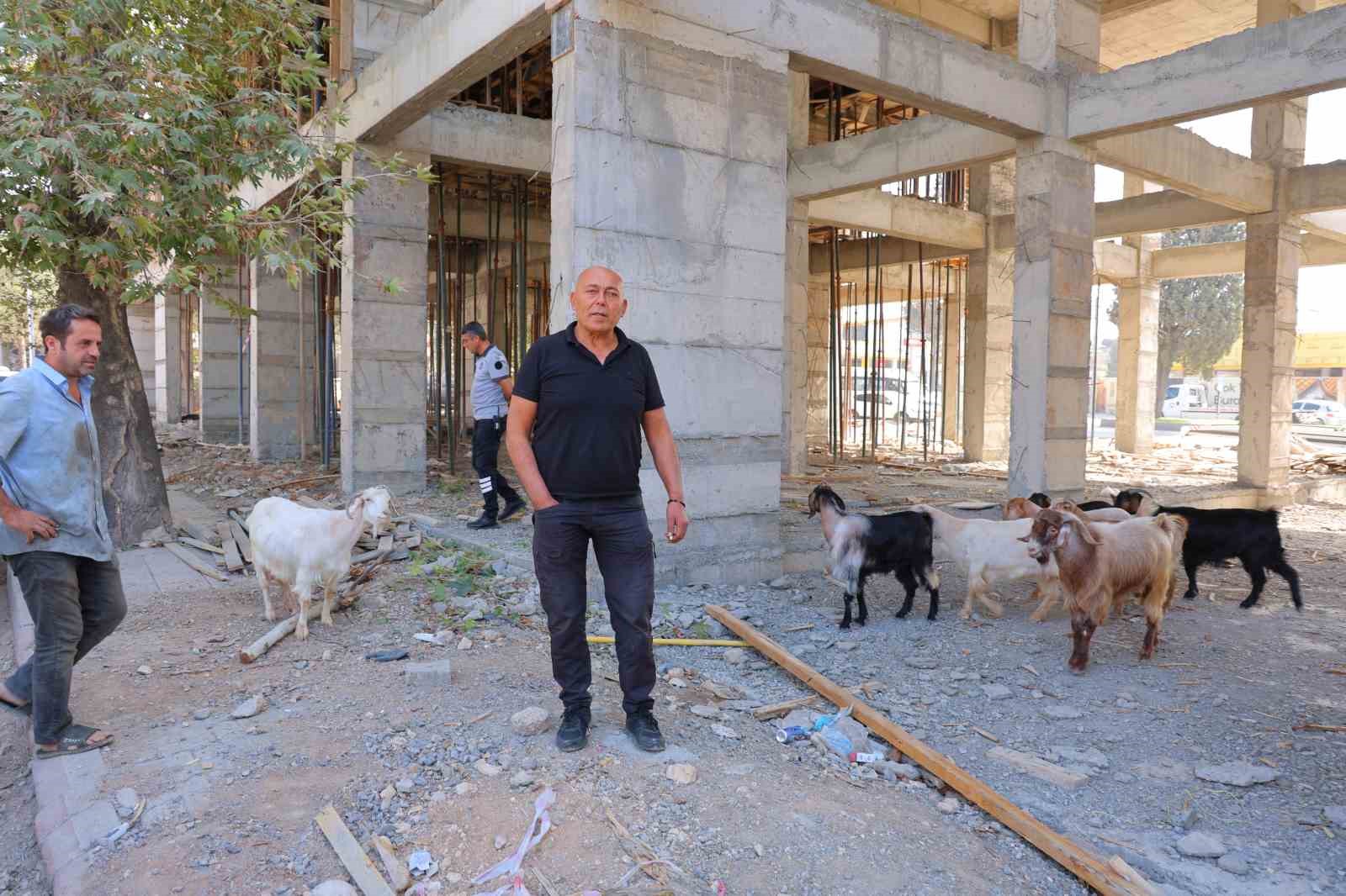 basibos-gezen-9-keciyi-esnaf-buldu-sahibi-araniyor