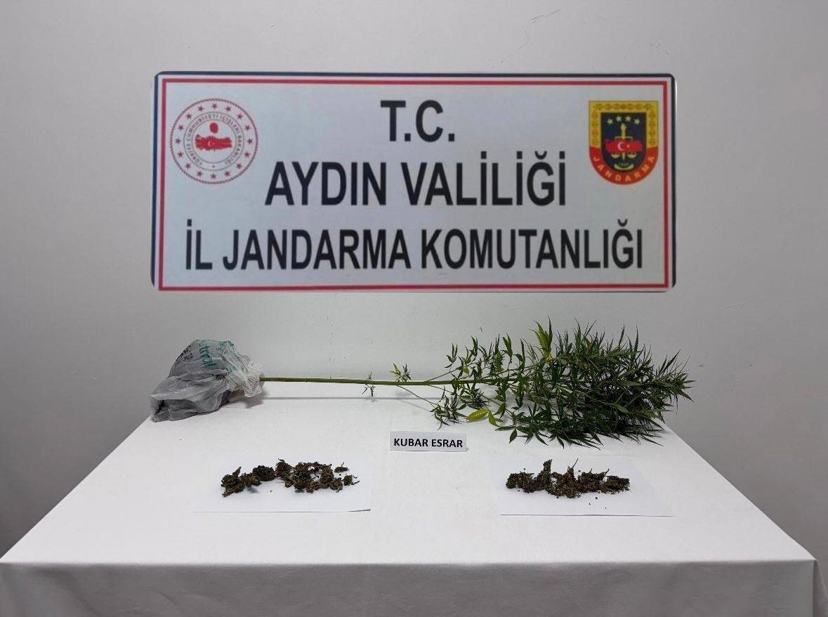 soke-de-narkotik-kopegi-destekli-operasyonda-uyusturucu-madde-ele-gecirildi