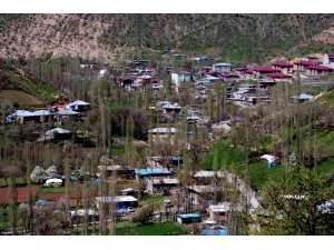 Nesli Tükenmekte Olan Semenderler Köylünün İçme Suyundan Çıktı