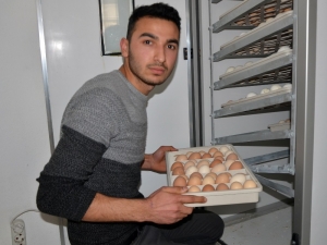 Hobi İçin Başladı, Şimdi İhracatını Yapıyor