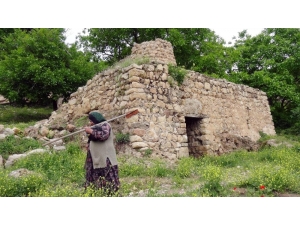 Gercüş’te Tarihi Değirmenler Kaderine Terk Edildi