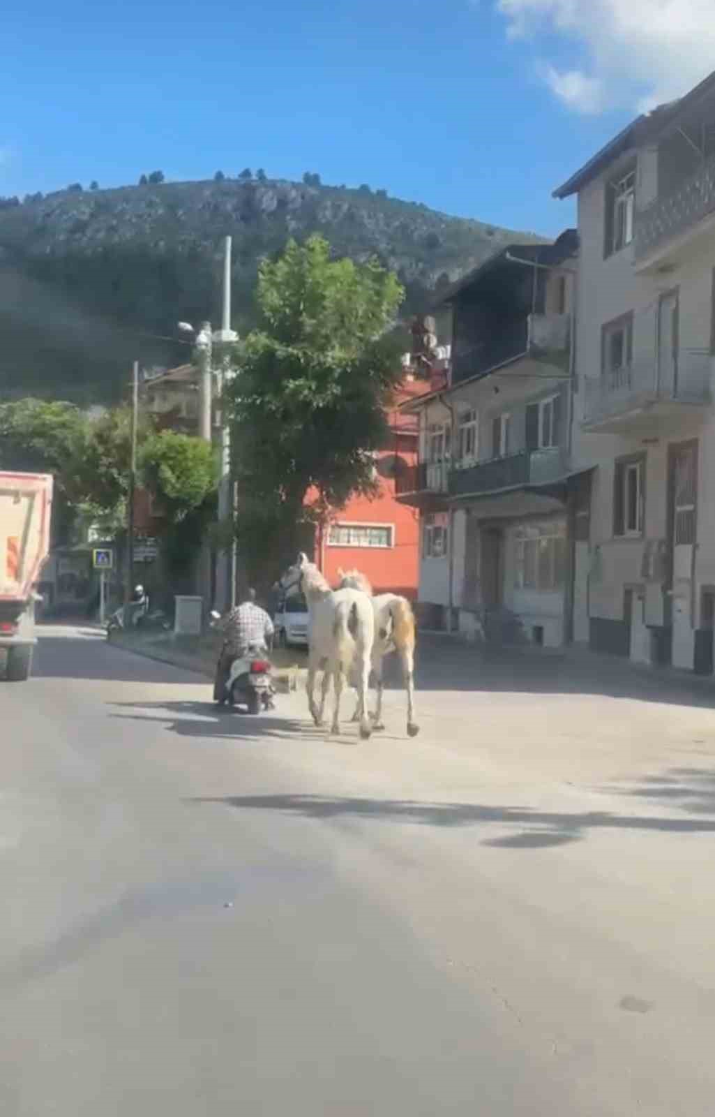 kutahya-da-atlari-motosikletine-baglayarak-ilerleyen-surucu-kameraya-yansidi