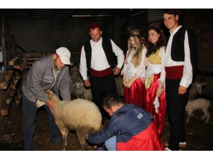 5. Uluslararası Hıdırellez Bayramı Kutlanacak