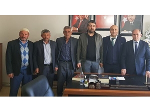 Kasil Güney İlçelerinde