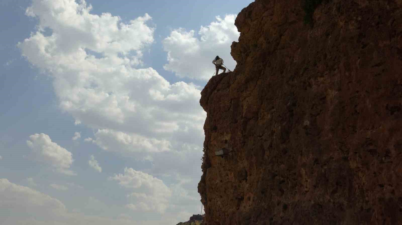 600-metre-yuksekliginde-sinirlari-asan-hasat-gercus-un-cesur-aricisi-is-basinda