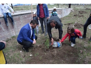 Kars’da Fidan Dikimi Yapıldı