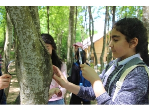 Büyükşehir, Çocukları Doğa İle Buluşturdu