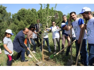 Tarzan’ın Torunları Çekirdek Topluyor