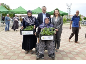 Hobi Bahçelerinde Fide Dağıtıldı