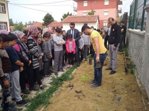 Dumlupınar’da Fidan Dikme Etkinliği